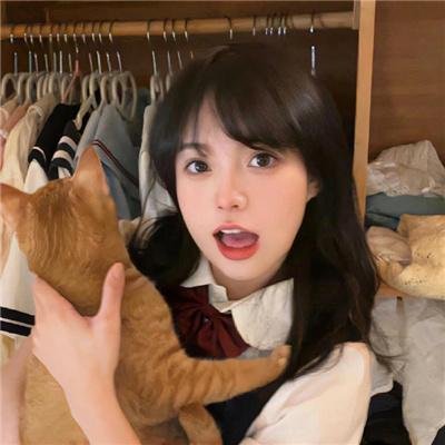 侠盗高飞
